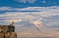 Noravank - Khor Virap - Yerevan (Km 235)